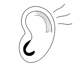 ear